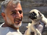 Mükemmel  Kalite Pug Moğs  Yavruları Burkemden