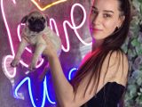 Irk Garantili Sağlıklı Pug Bebekler