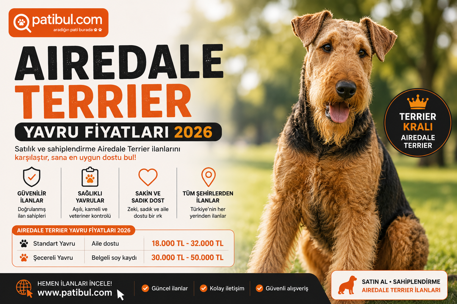 Airedale Terrier Görseli