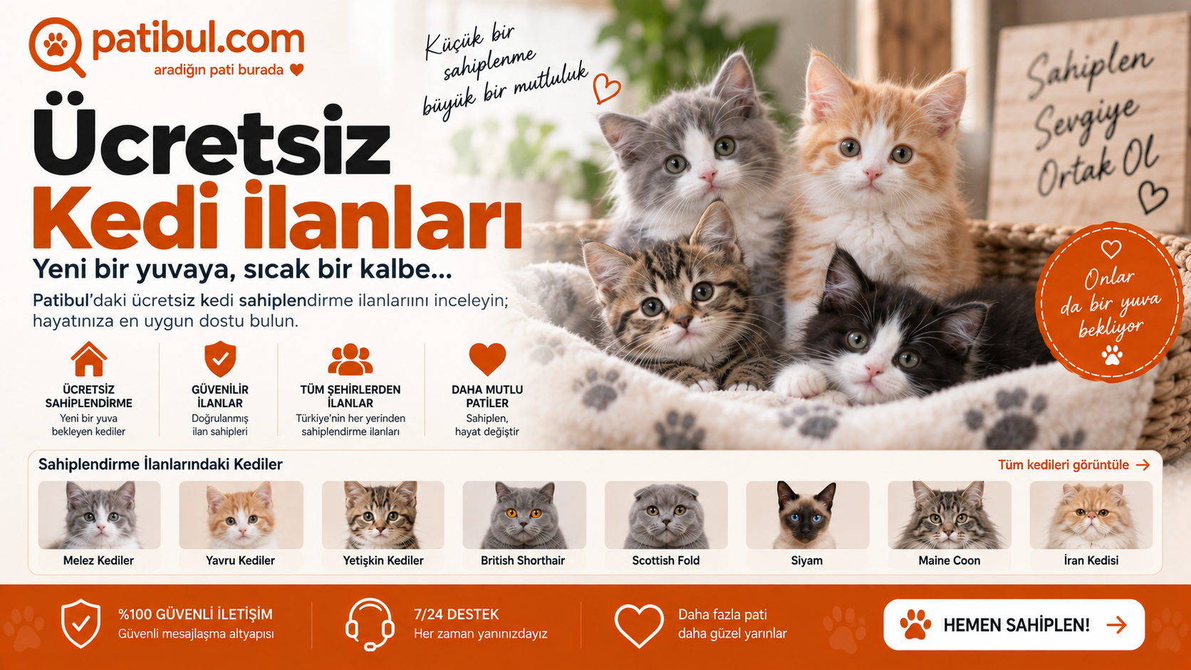 Ücretsiz Kedi İlanları Ücretsiz Kedi İlanları Görseli