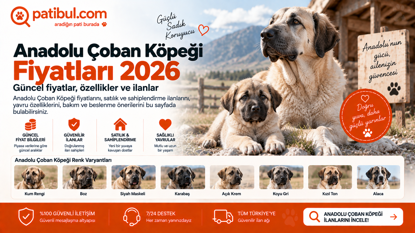 Anadolu Çoban Köpeği yavru fiyatları 2026 ve güncel satılık yavru ilanları Anadolu Çoban köpeği Görseli