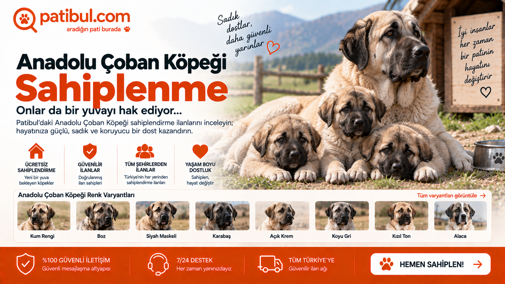 Anadolu Çoban Köpeği yavru sahiplenme ve sahiplendirme ilanları Anadolu Çoban köpeği Görseli