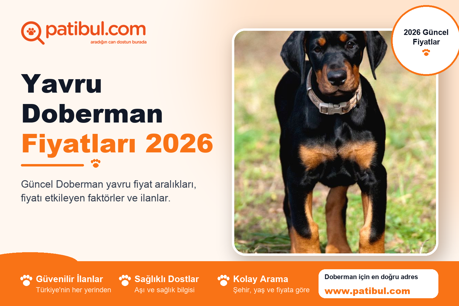 Yavru Doberman Fiyatları 2026