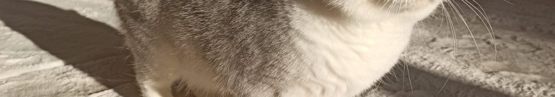 PetprofTarkan