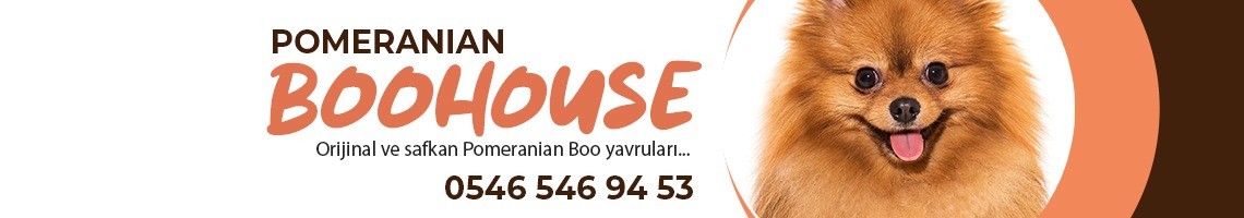 Ersin