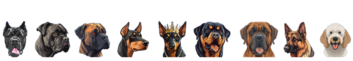 Costo Corso Kennel