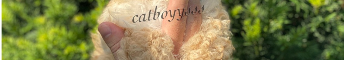 Burak Catboys