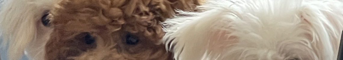 betül tuac