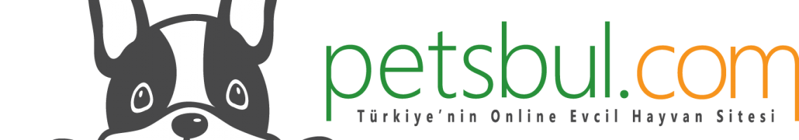 ertuğrul togaç
