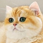 Tuba günaydın  profil fotoğrafı