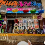 MissyPets3 profil fotoğrafı