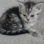 yucel sevinc profil fotoğrafı