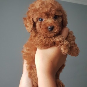 Profil Fotoğrafı
