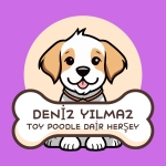 deniz yılmaz profil fotoğrafı