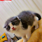 Özlem turaç profil fotoğrafı