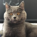 Hüseyin AtalI profil fotoğrafı
