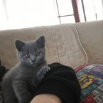 Murat Baron profil fotoğrafı